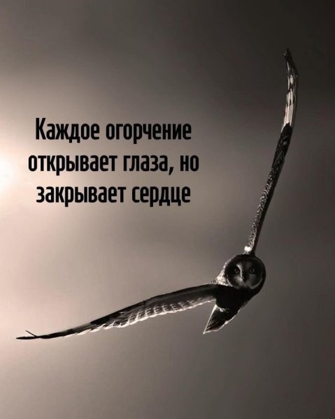 TY5LHUYLmcE