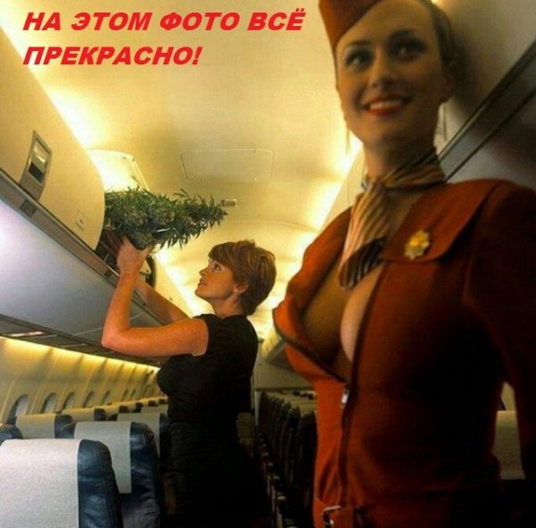 p.800.800.0