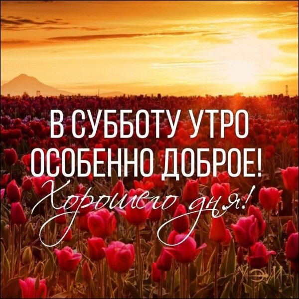 ea3a44a5b3080993b8e7db119dc44