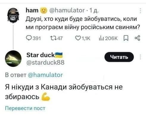 Хохлы начали задумываться о будущем
