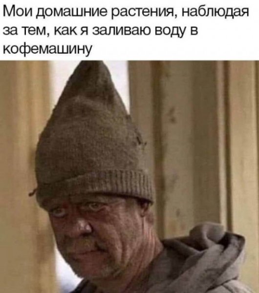 Ab5c63249e 20399373