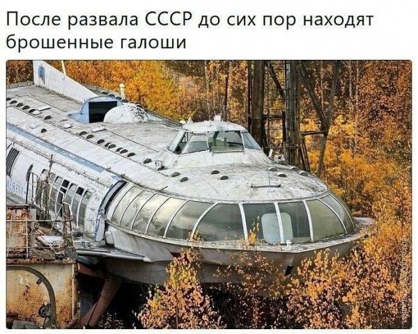51af78bdb591a5cdacb32dbd34e5434b