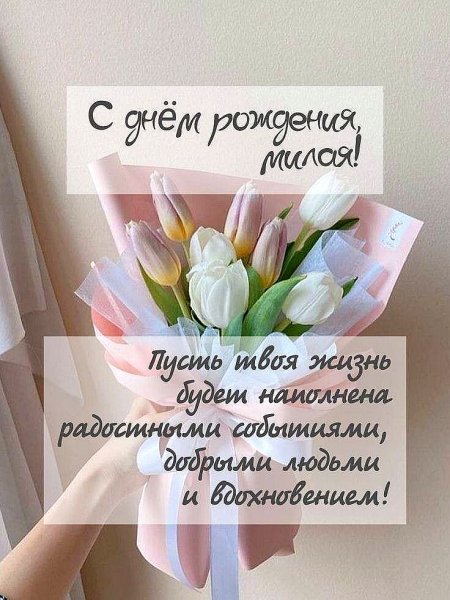 picture_382733743
