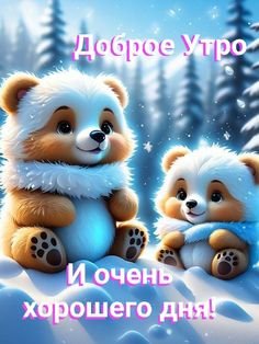 IMG-20250105-WA0049
