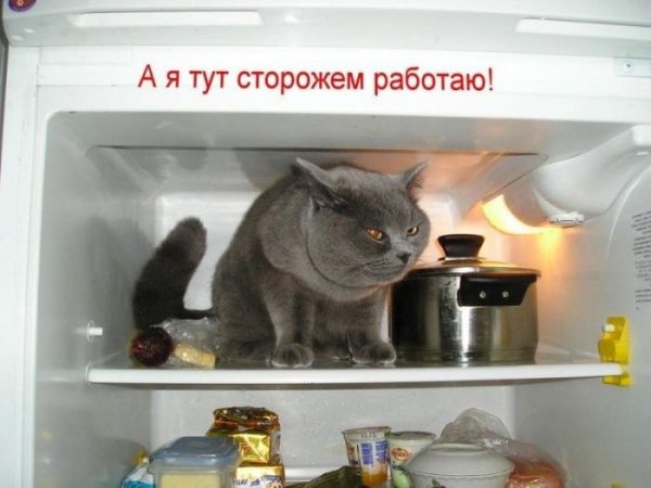 Df305a5f01514ab5fd824722ad0593a3