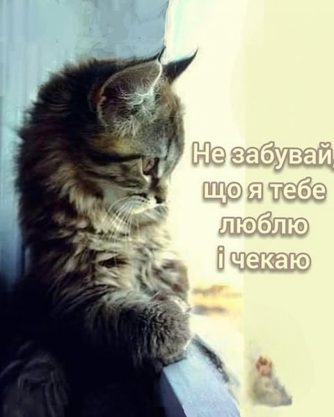 Люблю і чекаю