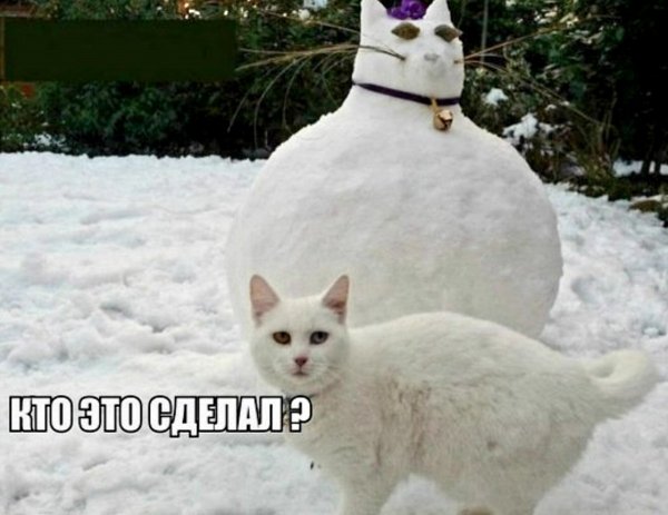 p.1200.1200.0