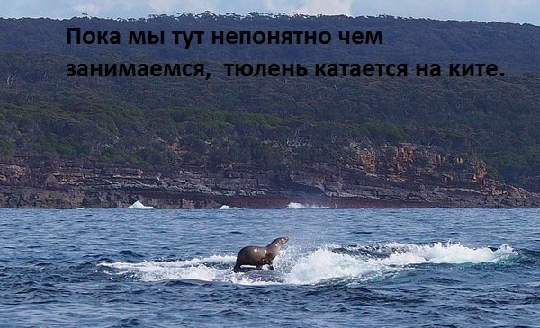 Images 9416
