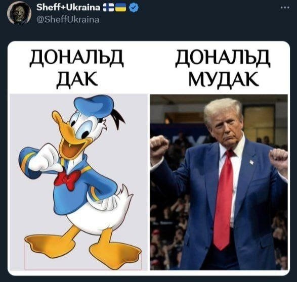 Qe8nwkPHo-4