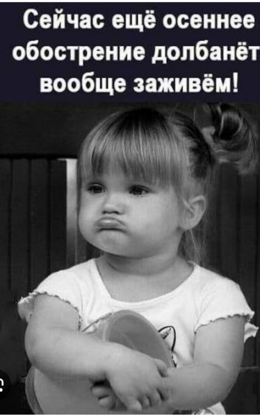 IMG 20260829 133714