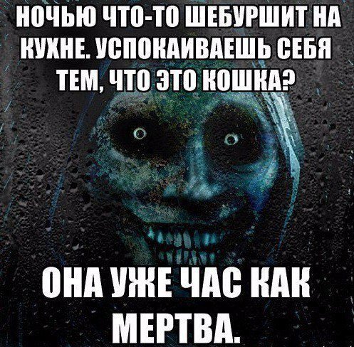 Не кошка