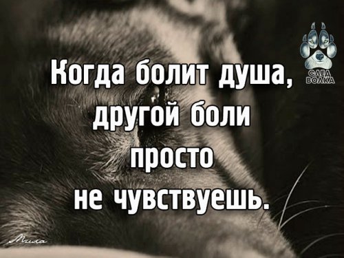 picture_215791298