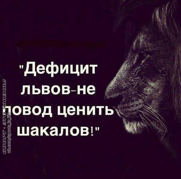 p.1200.1200.0