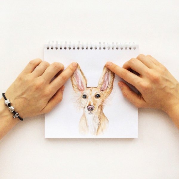 Funny Art by Valeria Susik-06