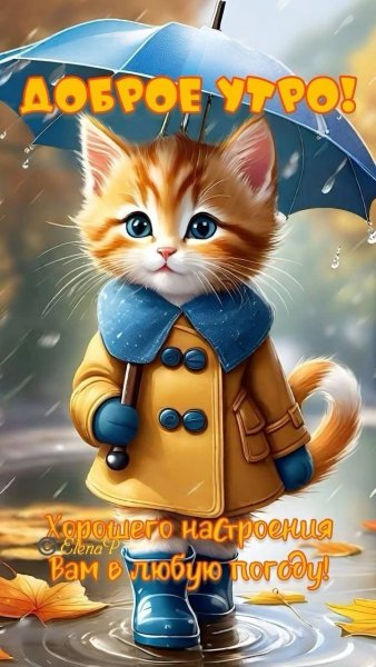 Fb2c067672d84bd299d8375e609949fd