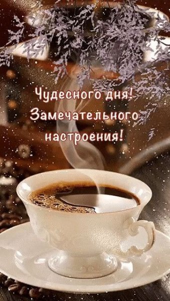 9a65841ddf62c38a2518780500bcb68d