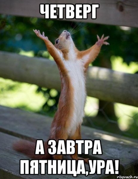 belka 60203045 orig