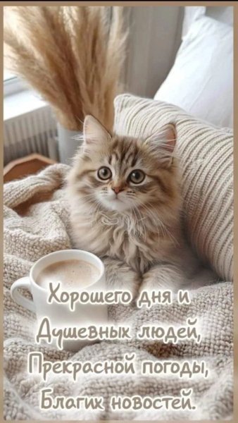 IMG 20260124 185636 264