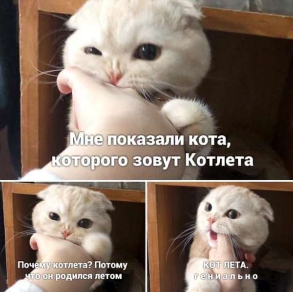 picture_273695670