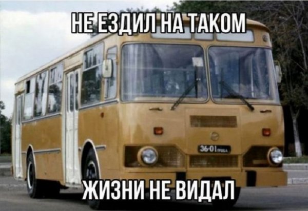 oc1165088495