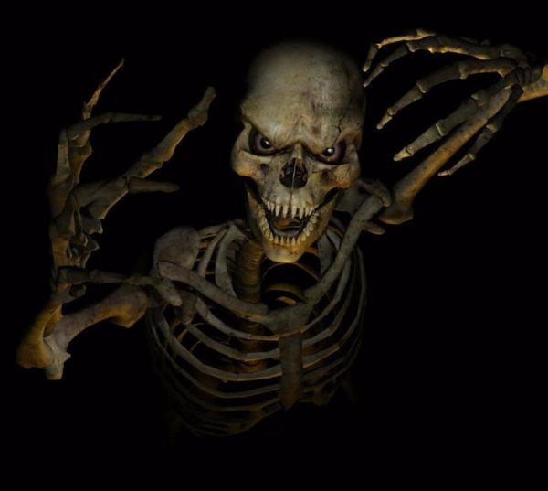 skeleton)