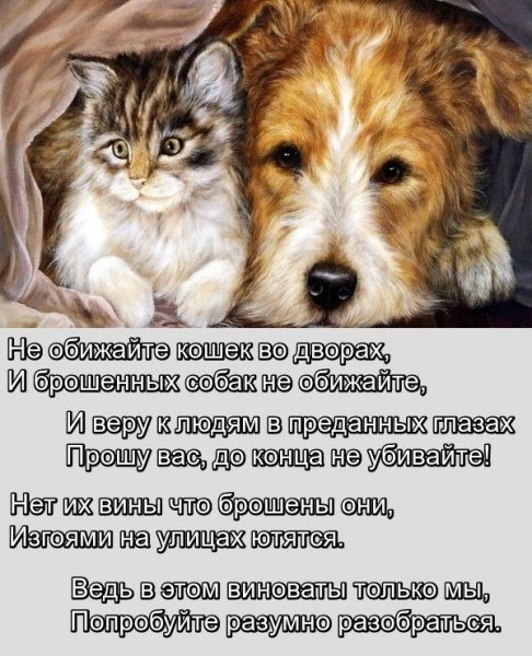 Не обижайте...