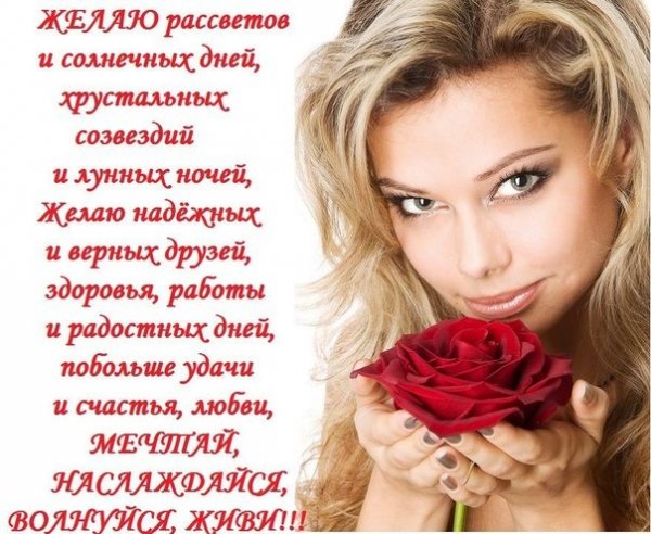 07o6dbf0f45ocb4bd7b28a5a482dcfdl