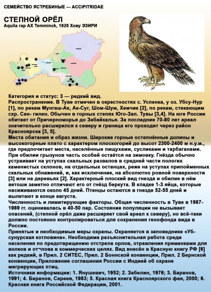 Степной-орел