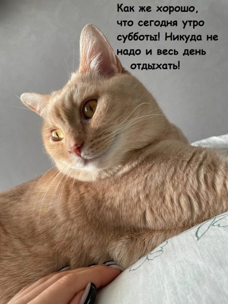 Ага)))