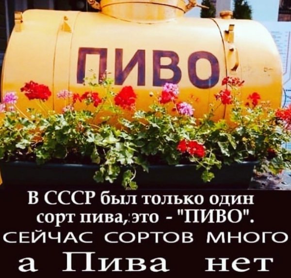пивас