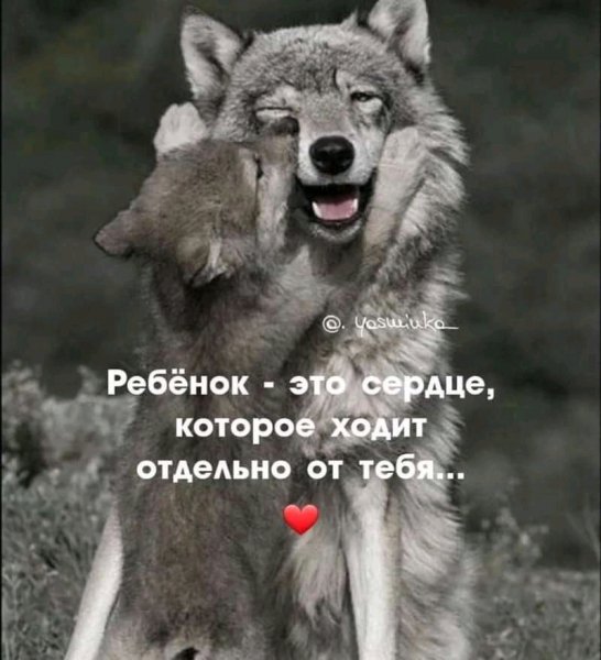 FB IMG 16961791395494412