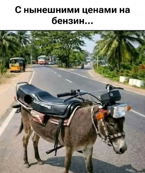 Мотоишак )