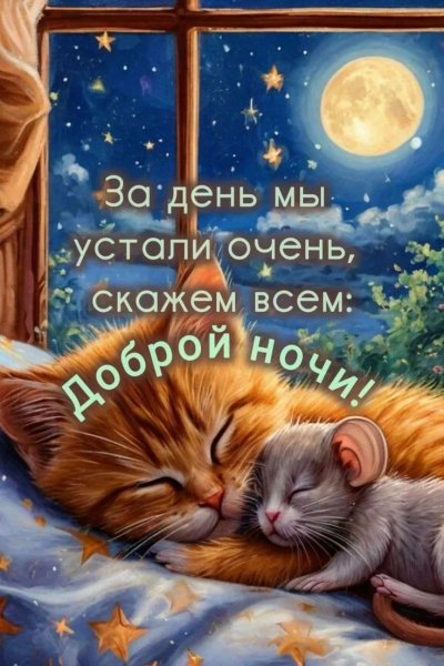 IMG 20260712 001238 795