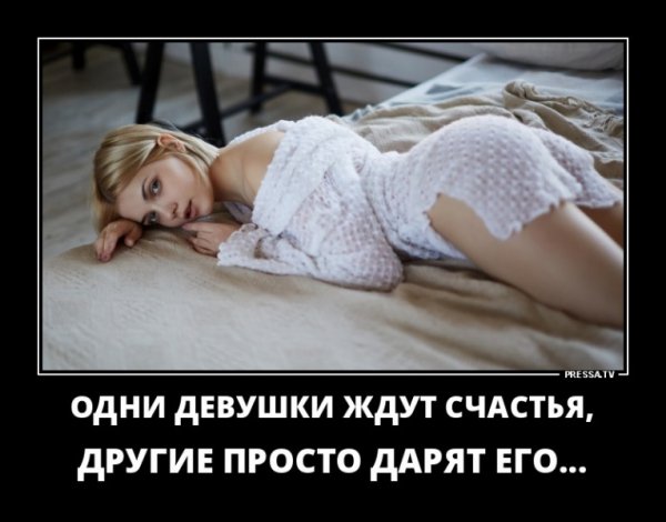 picture_249000904