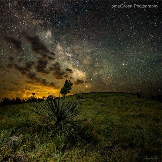 picture_95544973