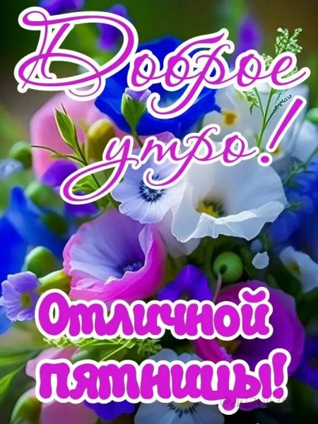 Друзья мои!
