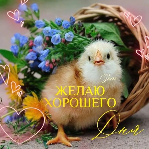 IMG 20260711 104204 574