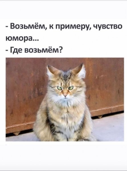Оба - на!!!