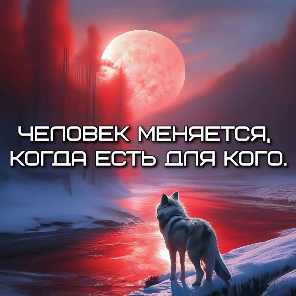 IMG 20241228 163230
