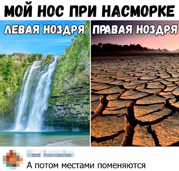 насморк