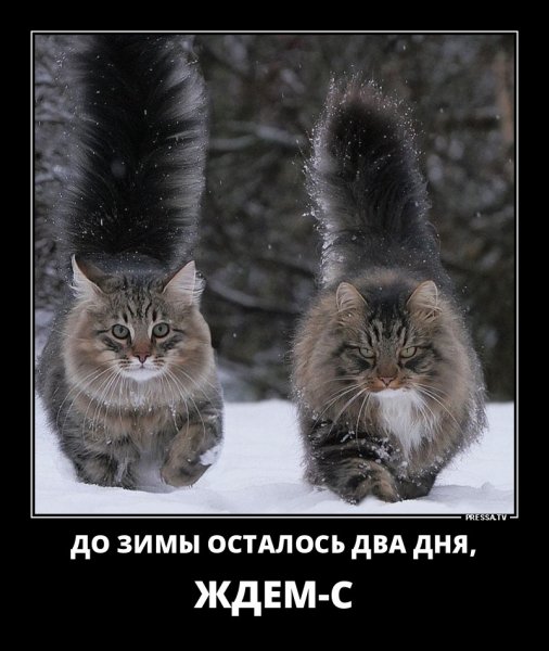 До зимы осталось