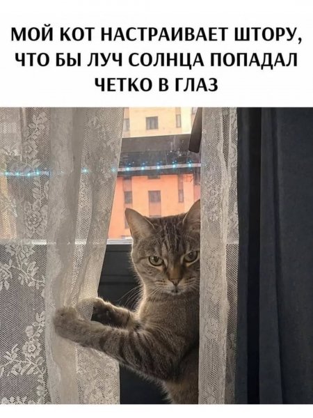 Poceluy brezhneva 9faaebf649c94165bc124294a795c1de