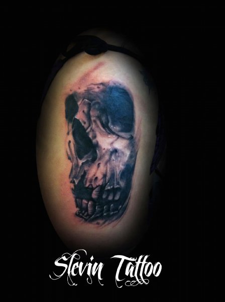 Tattoo (4682)