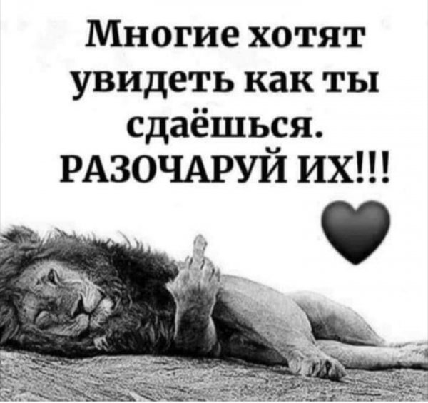 IMG 20210517 181656