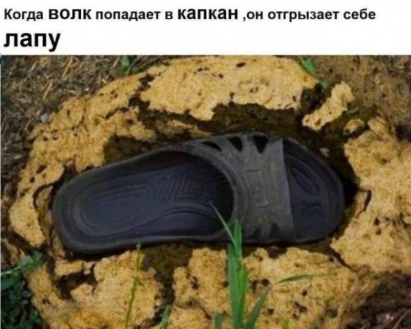 9ea0222cf4 19963704