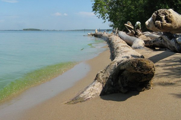 Новосибирск обское море