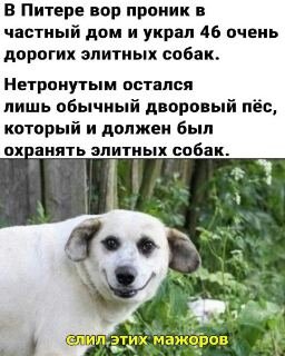 Tmp-cam-288134782