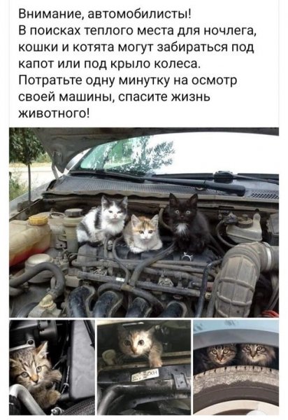picture_375466272