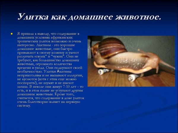 На заметку