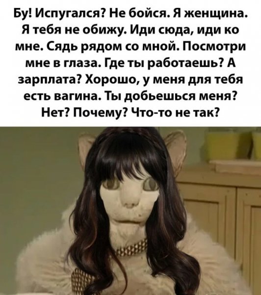 p.600.600.0